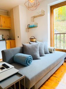 陶尔Apartamento con encanto (Taüll) DEER 1的客厅里配有带枕头的沙发