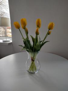 托伦Magnolia的坐在桌子上的黄色花瓶
