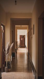 塔菲德尔瓦勒Hostal La Vidala的走廊上设有长长的走廊,走廊上设有走廊