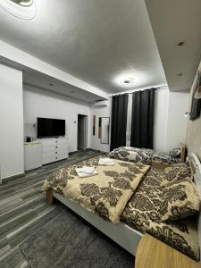 比斯特里察鹏西尼亚老警长汽车旅馆的一间卧室配有一张大床和一台平面电视