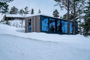 SveneGrend Blefjell的树林里的雪地玻璃屋