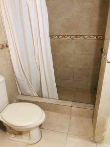 圣多明各HOTEL TREBOL的一间带卫生间和淋浴的浴室