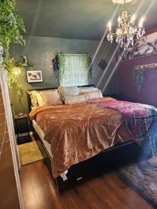 坦帕The Jungle Room的一间卧室配有一张大床和一个吊灯。