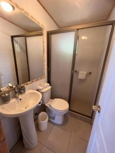 平托Cabañas Rukaparra的浴室配有卫生间、盥洗盆和淋浴。