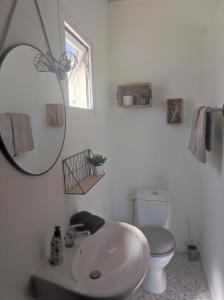 PaïtaChambres d'hôtes Tontouta Tamoa的一间带水槽、卫生间和镜子的浴室