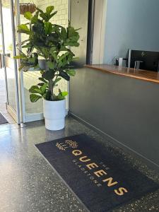 格拉德斯通The Queens Gladstone的办公室地板上的一个盆栽植物