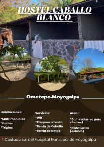 莫约加尔帕Hostel Caballo Blanco的带有景点名称的活塞动物园传单
