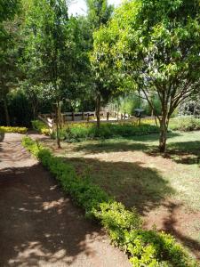 NgongJari Inn Bistro的公园里一条有树木和围栏的小径