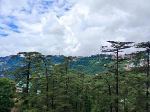 西姆拉Shimla Royale - Mountain Zest的山前的一群树木
