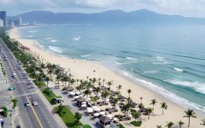 岘港Sofiana My Khe Hotel & Spa的棕榈树海滩的空中景致