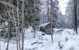 艾尔夫达伦Stunning Home In lvdalen With Sauna的森林雪地中的小木屋