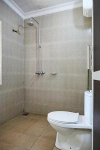 阿鲁沙Villa Viva Tanzania的一间带卫生间和淋浴的浴室