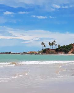 皮帕Pelados Beach Hostel的远处拥有棕榈树的海滩