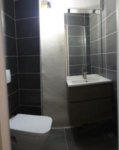 尼姆Logement cosy的一间带卫生间、水槽和镜子的浴室