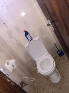 达累斯萨拉姆Jambo hostel tz的浴室设有蓝色的卫生间