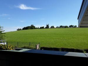 HerscheidFerienwohnungen Bußmann的绿色草地的景色