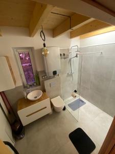 NieledwiaDomek Mecenasa的带淋浴、卫生间和盥洗盆的浴室