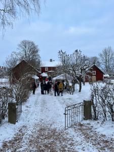 VikingstadEget hus i Linköping västra的一群人用雨伞在雪中行走