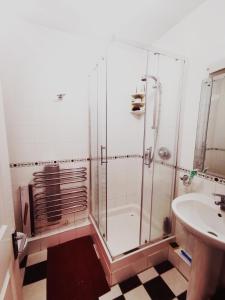 都柏林Charming apartment with big terrace in Sandymount的带淋浴和盥洗盆的浴室