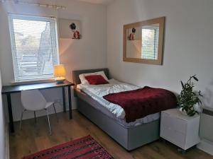 都柏林Charming apartment with big terrace in Sandymount的一间卧室配有一张床、一张桌子和一把椅子