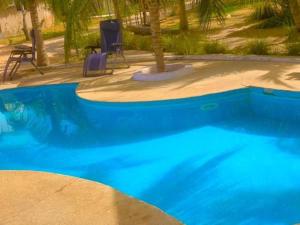 GuilorFagapa Lodge的蓝色的游泳池,带两把椅子和一棵树