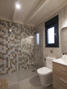 扎霍拉Casas Guemon的浴室配有卫生间、淋浴和盥洗盆。