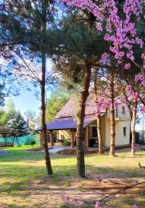 Całoroczny domek nad Jeziorem Piaseczno的前面有一棵树,花粉红