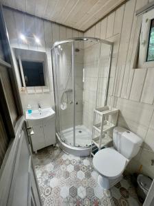 德布吉Diuna的带淋浴、卫生间和盥洗盆的浴室