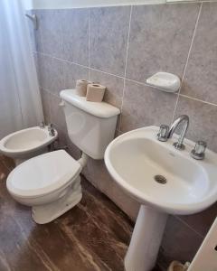 拉里奥哈COMPLEJO TURISTICO RIOJA的一间带卫生间和水槽的浴室