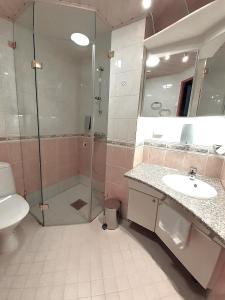 海尔迈电力公园酒店的带淋浴、盥洗盆和卫生间的浴室