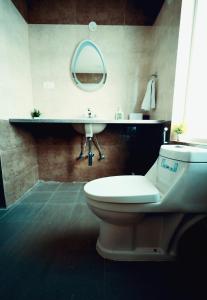 GoaAsta by Avim的一间带卫生间、水槽和镜子的浴室