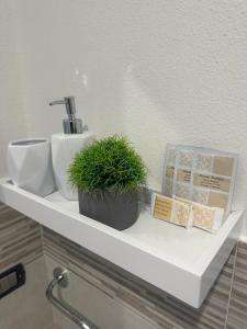 丰尼S' apossentu的浴室柜台设有水槽和植物
