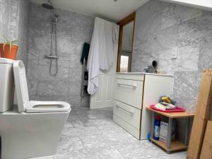 West DulwichLarge ensuite room in Dulwich (Gipsy Hill)的浴室配有白色卫生间和淋浴。