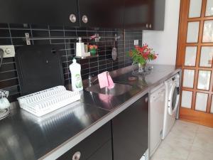 阿鲁卡斯CASA DE LA PRADERA的厨房柜台设有水槽和洗碗机。