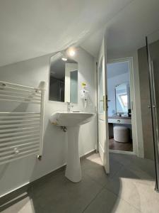 密古雷休治Pensiunea Korona and Restaurant的白色的浴室设有水槽和淋浴。