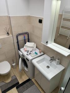 雅西Luxury Young Residence的一间带水槽和卫生间的浴室