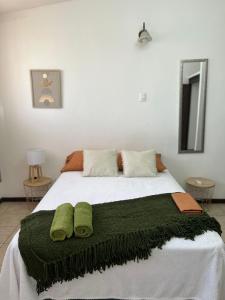 蓬塔雷纳斯Frente al mar loft的一间卧室配有一张带两个绿色枕头的床