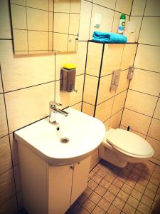 塔林马赫特拉酒店的一间带水槽和卫生间的浴室