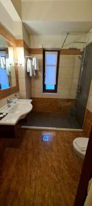 科尼察科尼特萨高山酒店的一间带水槽、淋浴和卫生间的浴室