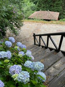RíosecoCasa rural en Redes para 4的一座布满蓝色花卉的木桥和长凳