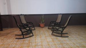 莱昂Hotel Sansívar的植物间里两把黑椅子
