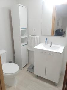 比德雷雷斯Gran Estudio de 50m2 cerca Costa Brava的白色的浴室设有卫生间和水槽。