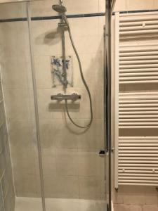 蒙彼利埃Chambre Abri Urbain的浴室内带软管的淋浴