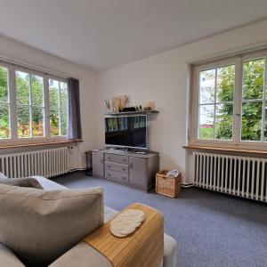 罗尔沙赫伯格peaceful tiny house near forest的带沙发和电视的客厅
