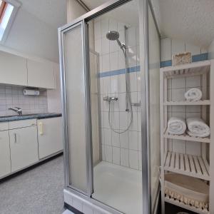 罗尔沙赫伯格peaceful tiny house near forest的浴室里设有玻璃门淋浴