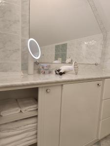 布达佩斯Garden villa的浴室的柜台配有镜子和水槽