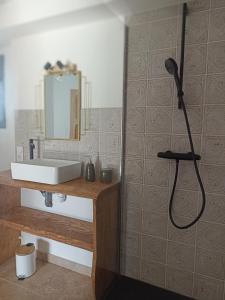 佩皮尼昂Grande maison de vacances的带淋浴、水槽和镜子的浴室