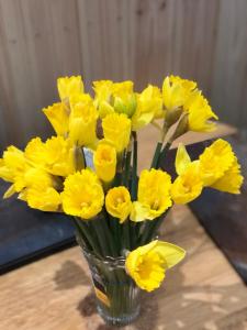 多尔盖罗Ty Cwtch的花瓶,上面有黄色的花朵