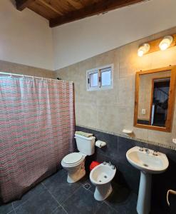 埃博森Punto Sur Cabañas的一间带卫生间和水槽的浴室