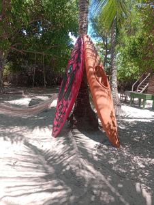 卡马萨里Cabana juriti的两艘皮艇悬挂在海滩上的棕榈树上
